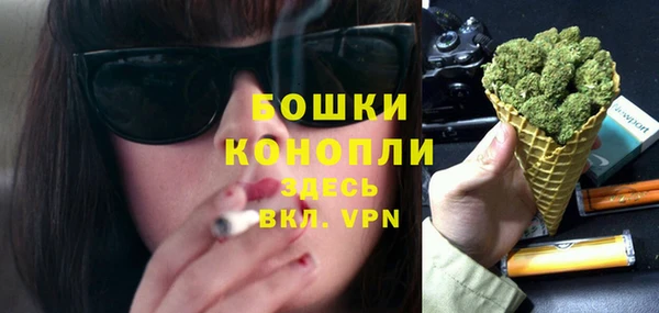 PSILOCYBIN Алзамай