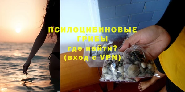 PSILOCYBIN Алзамай