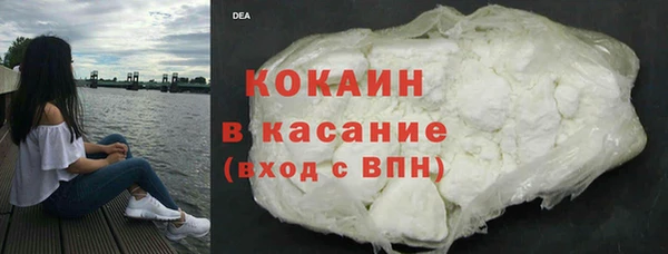 шишки Алексин