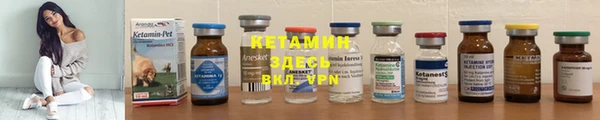 шишки Алексин
