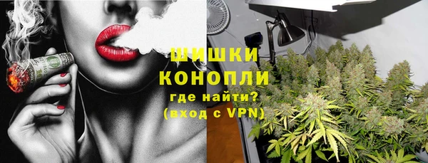 прущие грибы Абинск