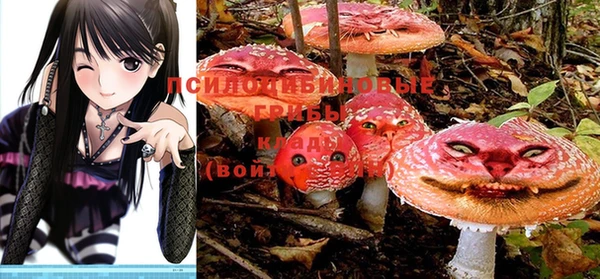 PSILOCYBIN Алзамай