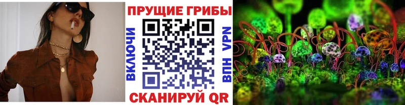 kraken ссылки  Болохово  Псилоцибиновые грибы мухоморы 