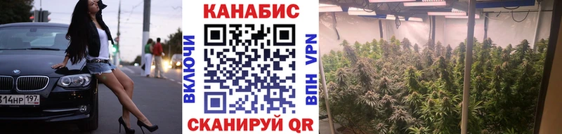 Бошки Шишки марихуана Болохово